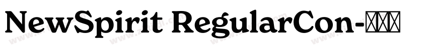NewSpirit RegularCon字体转换